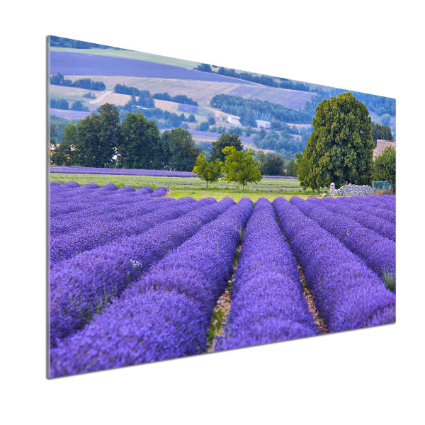 Dekoračný panel sklo Pole levanduľa