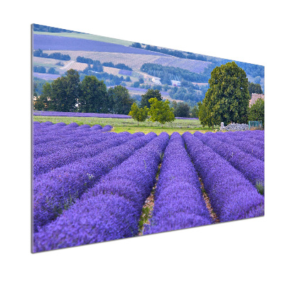 Dekoračný panel sklo Pole levanduľa