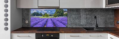 Dekoračný panel sklo Pole levanduľa