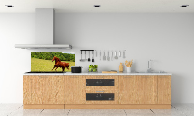 Dekoračný panel sklo Kôň na lúke