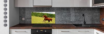 Dekoračný panel sklo Kôň na lúke