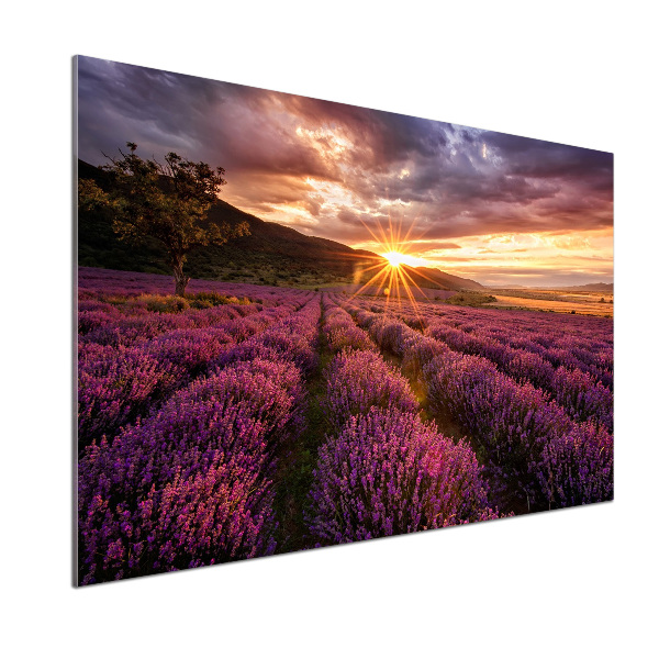 Dekoračný panel sklo Pole levanduľa