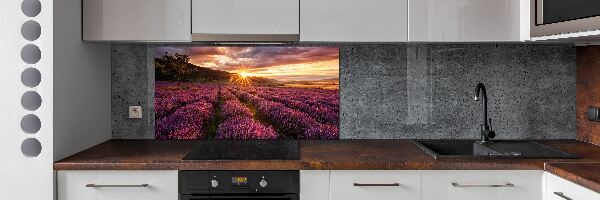 Dekoračný panel sklo Pole levanduľa
