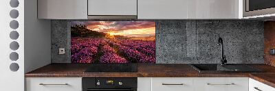 Dekoračný panel sklo Pole levanduľa