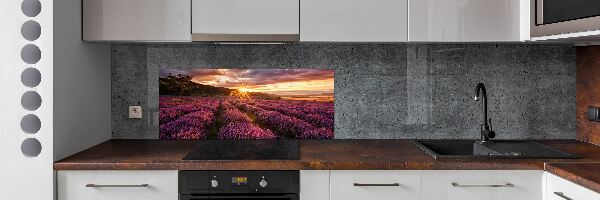 Dekoračný panel sklo Pole levanduľa