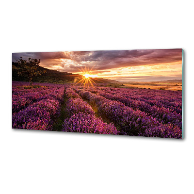Dekoračný panel sklo Pole levanduľa