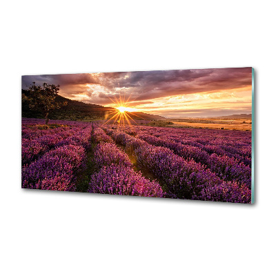Dekoračný panel sklo Pole levanduľa