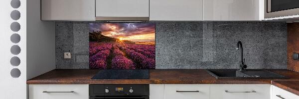 Dekoračný panel sklo Pole levanduľa