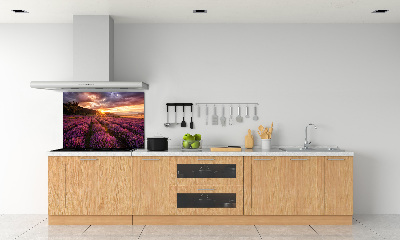 Dekoračný panel sklo Pole levanduľa