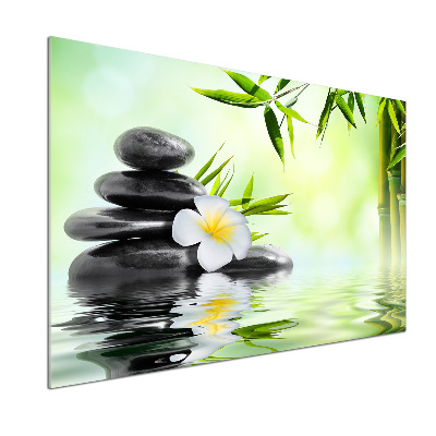Panel do kuchyne Plumeria a bambus