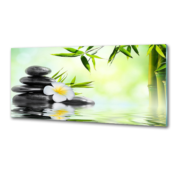 Panel do kuchyne Plumeria a bambus