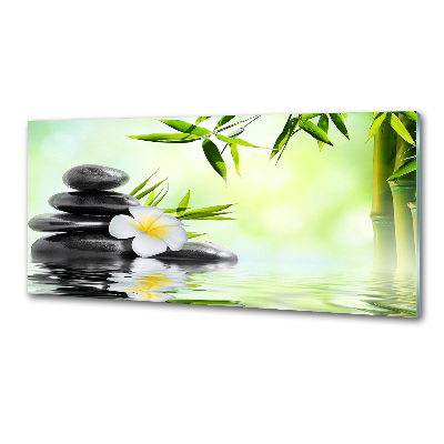 Panel do kuchyne Plumeria a bambus