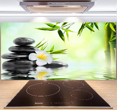 Panel do kuchyne Plumeria a bambus