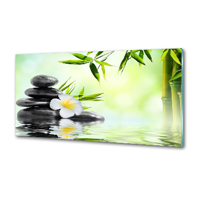 Panel do kuchyne Plumeria a bambus