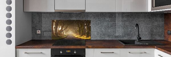 Dekoračný panel sklo Hmla v lese