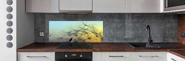 Panel do kuchyne Semeno púpavy