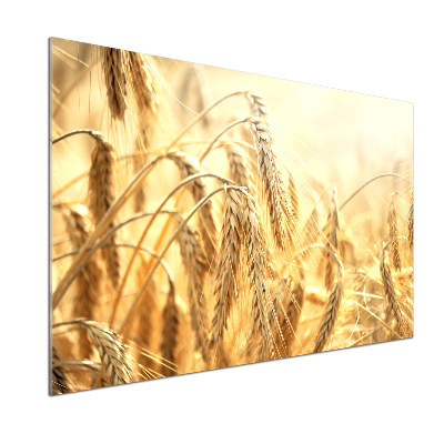 Sklenený panel do kuchyne Tovar