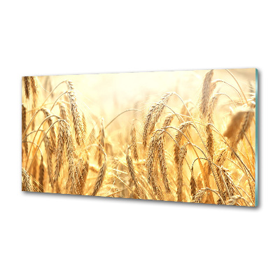 Sklenený panel do kuchyne Tovar