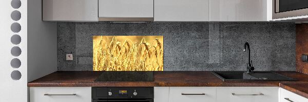 Sklenený panel do kuchyne Tovar