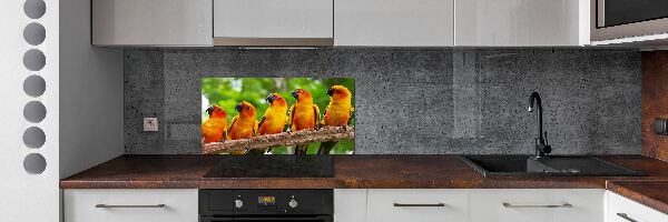 Panel do kuchyne Papagáje na vetve