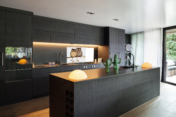 Panel lacobel Dve sovy na vetve