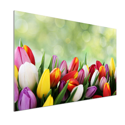 Panel do kuchyne Farebné tulipány