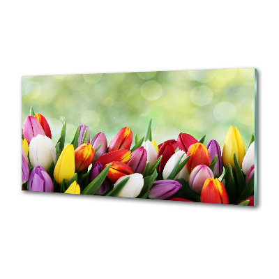 Panel do kuchyne Farebné tulipány