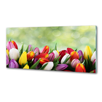 Panel do kuchyne Farebné tulipány