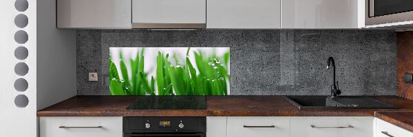 Dekoračný panel sklo Steblá trávy