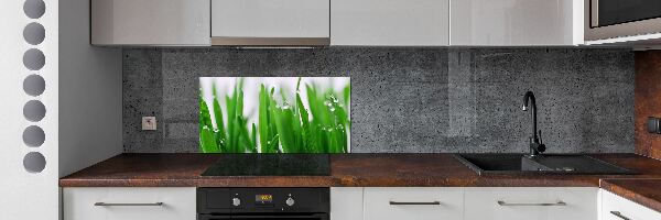 Dekoračný panel sklo Steblá trávy