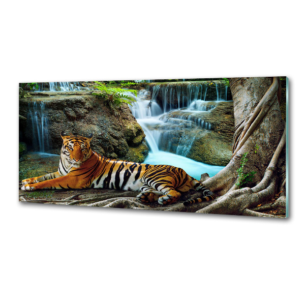 Panel do kuchyne Tiger vodopád