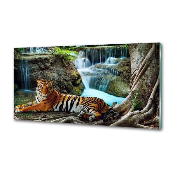 Panel do kuchyne Tiger vodopád