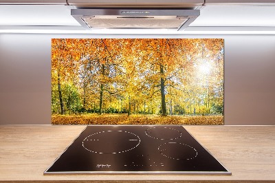 Dekoračný panel sklo Jesenný les