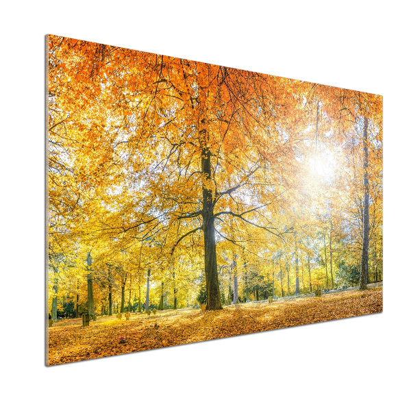 Dekoračný panel sklo Jesenný les