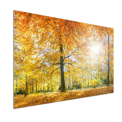 Dekoračný panel sklo Jesenný les