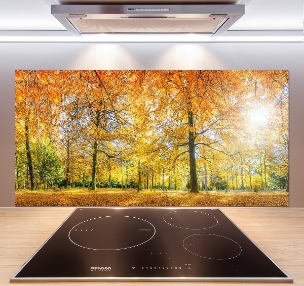 Dekoračný panel sklo Jesenný les