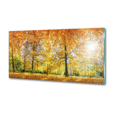 Dekoračný panel sklo Jesenný les