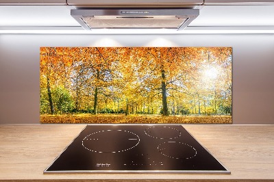 Dekoračný panel sklo Jesenný les