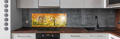 Dekoračný panel sklo Jesenný les