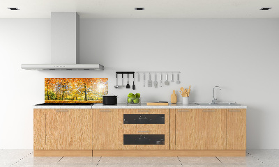 Dekoračný panel sklo Jesenný les