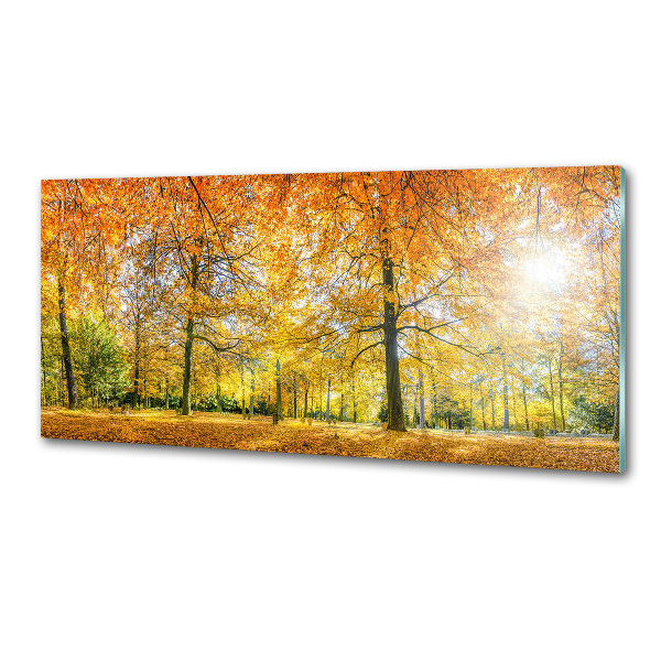 Dekoračný panel sklo Jesenný les