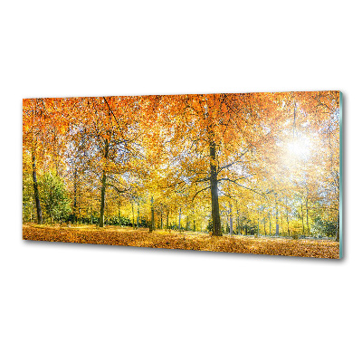 Dekoračný panel sklo Jesenný les
