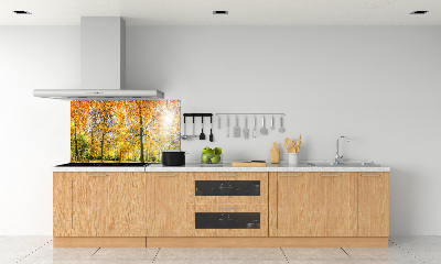 Dekoračný panel sklo Jesenný les