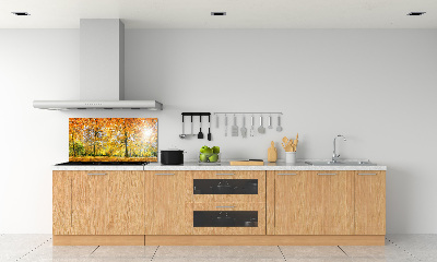 Dekoračný panel sklo Jesenný les