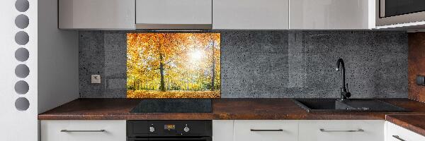 Dekoračný panel sklo Jesenný les