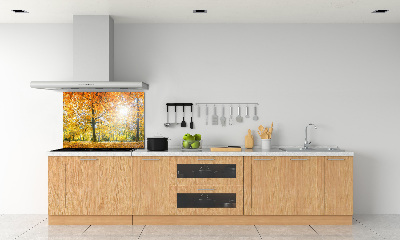 Dekoračný panel sklo Jesenný les