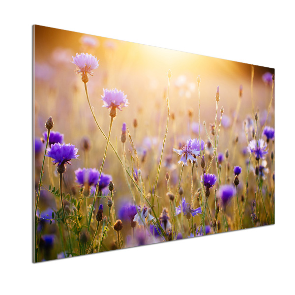 Dekoračný panel sklo Polní kvety