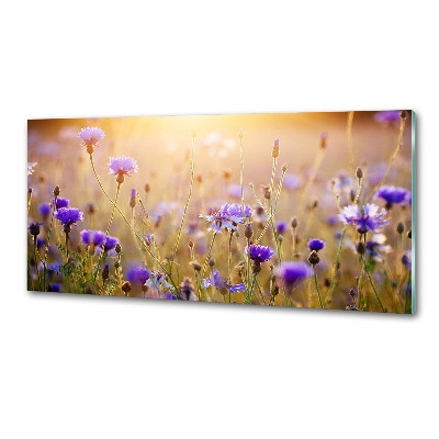 Dekoračný panel sklo Polní kvety