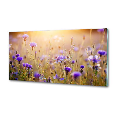 Dekoračný panel sklo Polní kvety