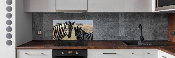 Dekoračný panel sklo Dve zebry